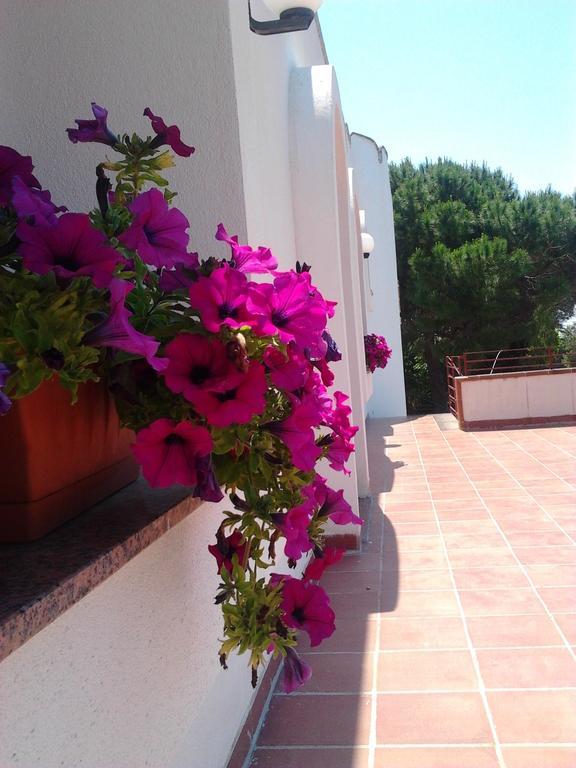 B&B Masseria Nova Torre San Giovanni Ugento Kültér fotó