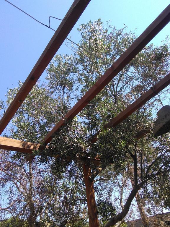 B&B Masseria Nova Torre San Giovanni Ugento Kültér fotó
